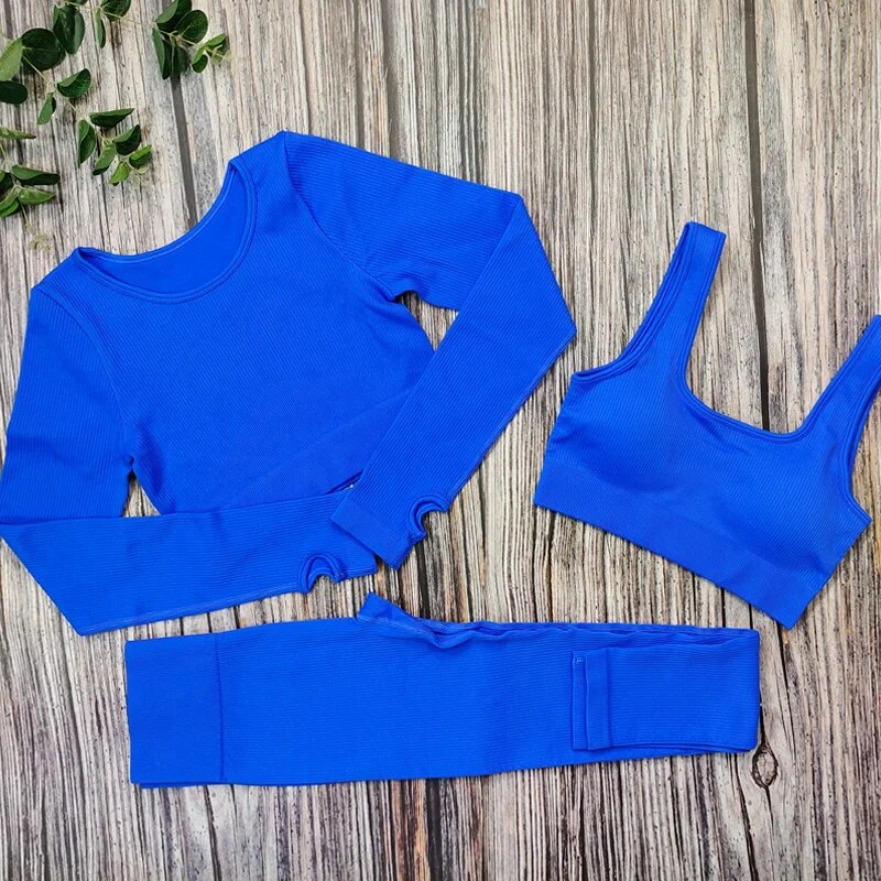 Women Seamless Gym Set